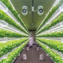 동이농장 이미지