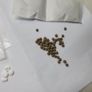 가본한의원 이미지