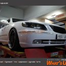 와츠업(WHATS UP) 이미지