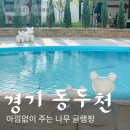 서울 근교 수영장 캠핑 추천 동두천 글램핑 아낌없이 주는 나무 후기
