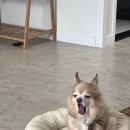 공간부춘 이미지