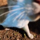 씨유 홍제행복점 이미지