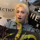 헤라코리아 이미지