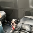 깔끄막 희컨집 이미지