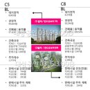 반도유보라7차 앞 이미지