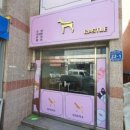 초코네 애견샵 이미지