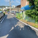 괴산읍젊음의거리 | 이화봉사단