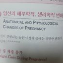 링게이트 이미지