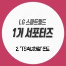 스마트TS