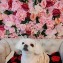 킹스키즈어린이집 이미지