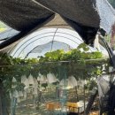 진아농장 이미지