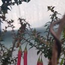 가온하우스 이미지