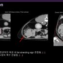 24시 코끼리동물의료센터 이미지