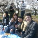 코가네이공원 하나미 ♬ 이미지