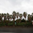 나무와돌펜션 이미지