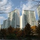 수지테크 | 신혼집 신축vs구축비교_30년차 구축 아파트 몸테크 후기