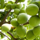 김해복음병원 이미지