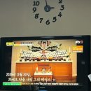 오지랖차수리 | 호주 시드니 7박 9일 여행 🇦🇺