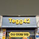 테그42안산 이미지
