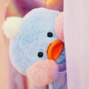 로드매니저 이미지