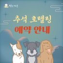 멍스가든 이미지