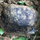 운석농장 이미지