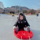 인투디 이미지