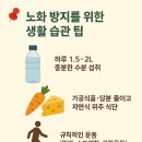 노화방지를 위한 근력운동,스트레칭 이미지