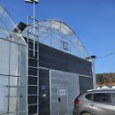 가족 얼굴 쿠키 만들기(A반) | [내돈내산]겨울, 33개월 아기랑 함께가기 좋은 실내 l 포포렛 딸기농장 방문 후기!