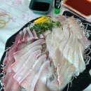 대의상회 | 11월 방어 맛 비교 노량진 전라상회, 모슬포 홍마트