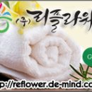 리플라워 이미지