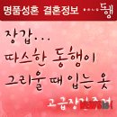 좋은느낌동행 뉴시스