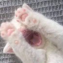 모나미미용실 이미지