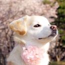 막창스토리 이미지