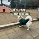 기흥레스피아호수공원 반려동물 놀이터_R | 용인 무료로 이용 가능한 반려견 놀이터 (상현 반려동물 놀이터)