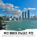 동백섬의 일출 | 부산 러닝코스 추천, 해운대 동백섬 산책로 힐링 러닝