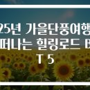 산새랑 게스트하우스 | 2025년 가을단풍여행 혼자 떠나는 힐링로드 BEST 5