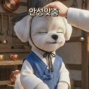 안성장의 | 073 상식이 안성맞춤