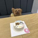 카페휴개 이미지