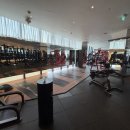 마이애미 휘트니스 헬스 이미지