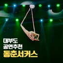 동춘 | 워크샵 프로그램 추천, 동춘서커스 관람 후기
