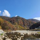 숲과 개울 펜션 이미지