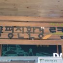 친환경로 네이버블로그