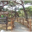 서포리웰빙산책로 (덕적도) Daum카페