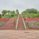 수청근린공원 이미지