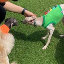 헬로우버디 이미지