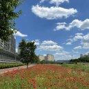 월계1교 이미지