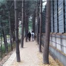 사임당로공원 이미지