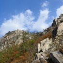 양지-3573 이미지