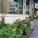 남일약국 이미지